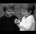 Šta to imaš...&hellip;