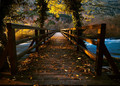 Bridge over tr&hellip;