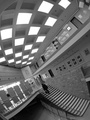 Distorted real&hellip;