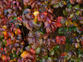 United colours&hellip;