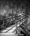 Road to somewh&hellip;