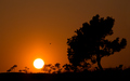 Sunce, klupa, &hellip;