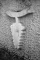 symbols from t&hellip;