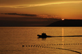 golden minutes&hellip;