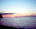Rovinjski sumr&hellip;