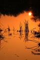 Refleksija u v&hellip;