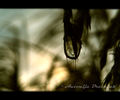 ...even silent&hellip;