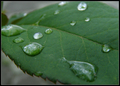 Nature crys al&hellip;