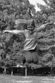 I believe I ca&hellip;