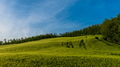 zeleno-plavo p&hellip;