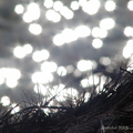 Visions of new&hellip;