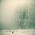 Sound of silen&hellip;