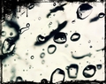 Jelly experime&hellip;