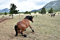 "Malo&quo&hellip;
