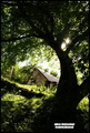 shines of hope&hellip;