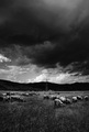 landscape of s&hellip;