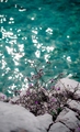 Flash of summe&hellip;