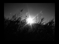 Sunce kroz trs&hellip;