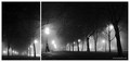 Night whispers&hellip;