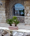Pogledi
