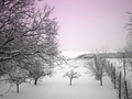 pogled iz moje&hellip;