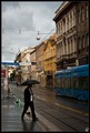 Kišna frankopa&hellip;