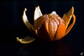 Tangerine blos&hellip;