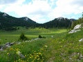 Veliki Lubenov&hellip;