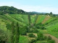 vinski amfitea&hellip;
