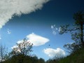 Leti zujak u s&hellip;