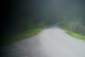 My pinhole sig&hellip;