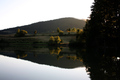 Slatke refleks&hellip;