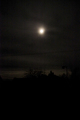 Silent Night F&hellip;