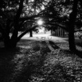 Villa Manin, p&hellip;
