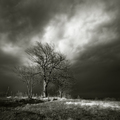 Istrian landsc&hellip;
