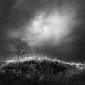 Istrian landsc&hellip;