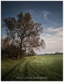 between blue a&hellip;
