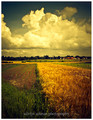 Rural summer d&hellip;