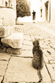 Bit će vrijeme&hellip;