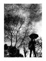 rain Man (II).&hellip;