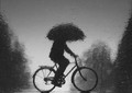 rainy day