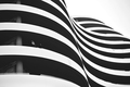  black and whi&hellip;