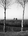 Mlado vinogorj&hellip;
