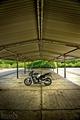 honda hornet c&hellip;