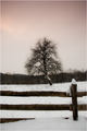 Alone in the s&hellip;
