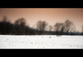 Delicate lands&hellip;