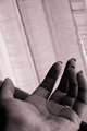 beging for lig&hellip;