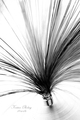Lines in b&amp&hellip;
