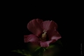 the beauty of &hellip;