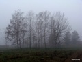 slavonski blue&hellip;